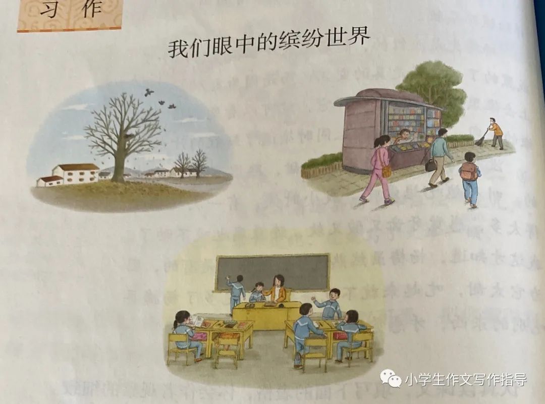 我们眼中的缤纷世界作文三年级作文怎么写好