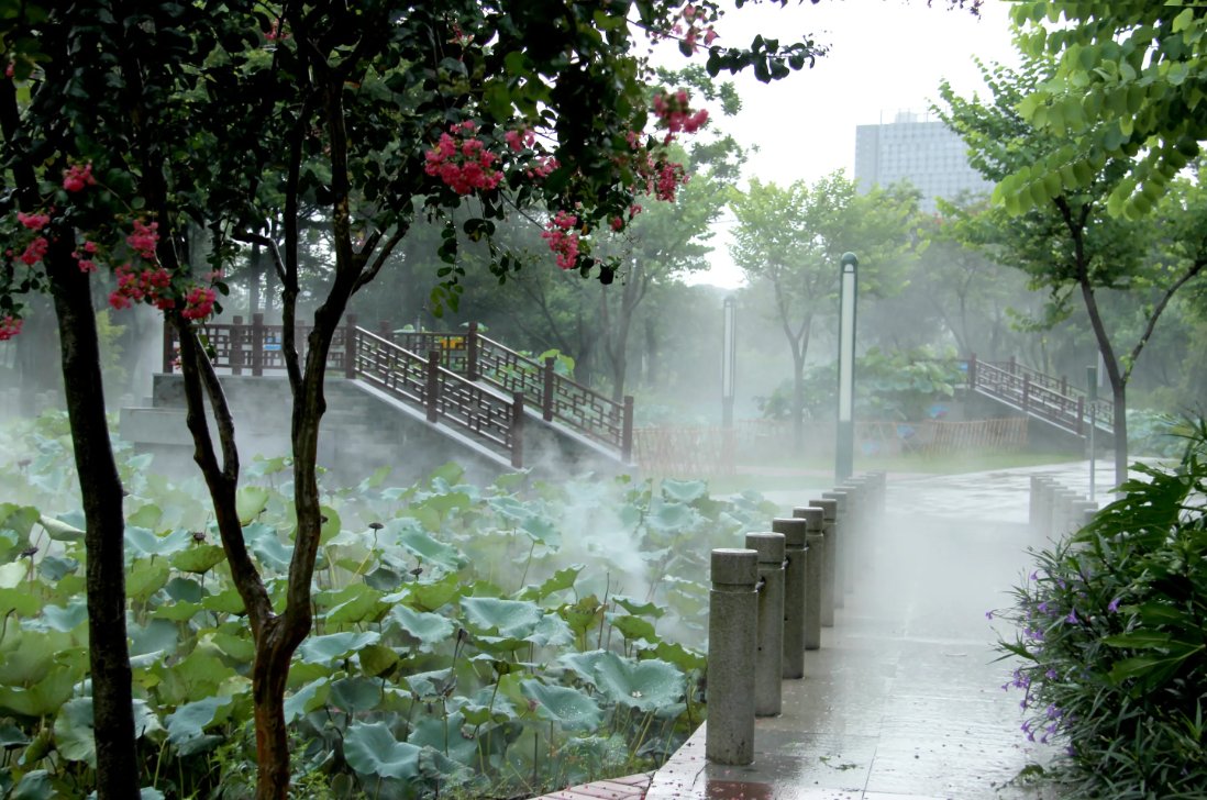 дһƪ�����м���������