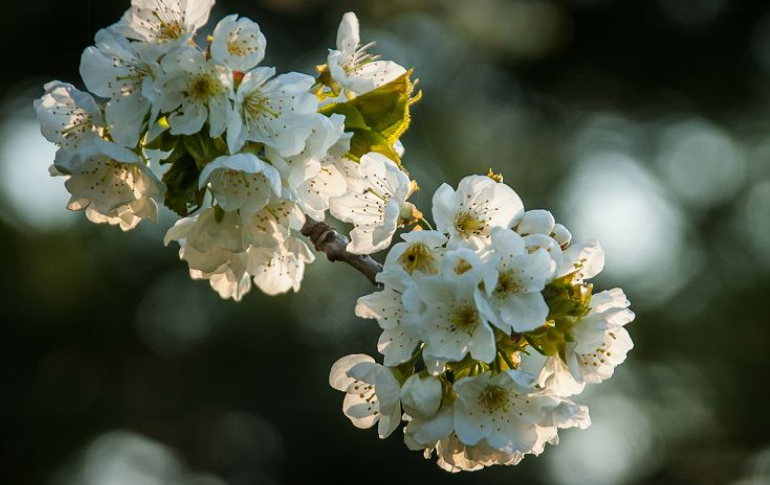 ���쾰ɫ��д����