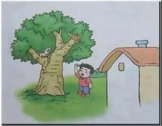 Сѧ���꼶��ͼд�������������ģ�