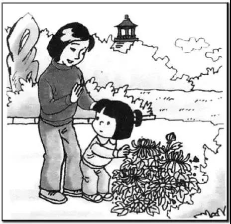 Сѧ���꼶��ͼд�������������ģ�