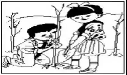 Сѧ���꼶��ͼд�������������ģ�