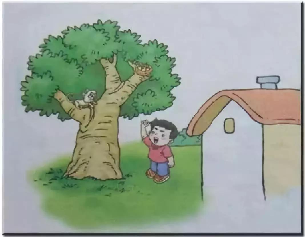 看图写话写作攻略第三讲:看图写话,附练习数篇!