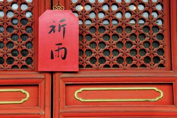 �����¶�����̧ͷ��������