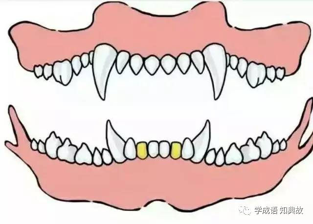 犬牙交错的典故