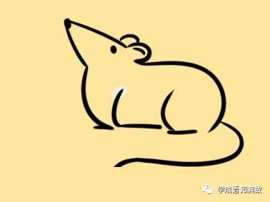 �������˵Ĺ��º�Ԣ��