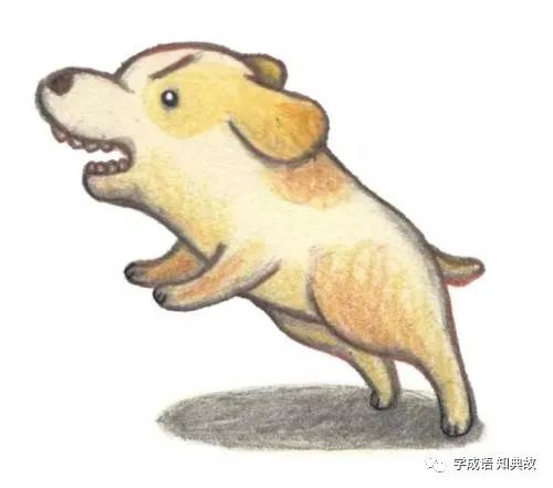 蜀犬吠曰的成语故事