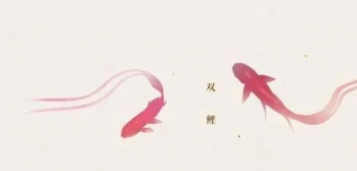 双鲤的典故,双鲤的寓意和象征