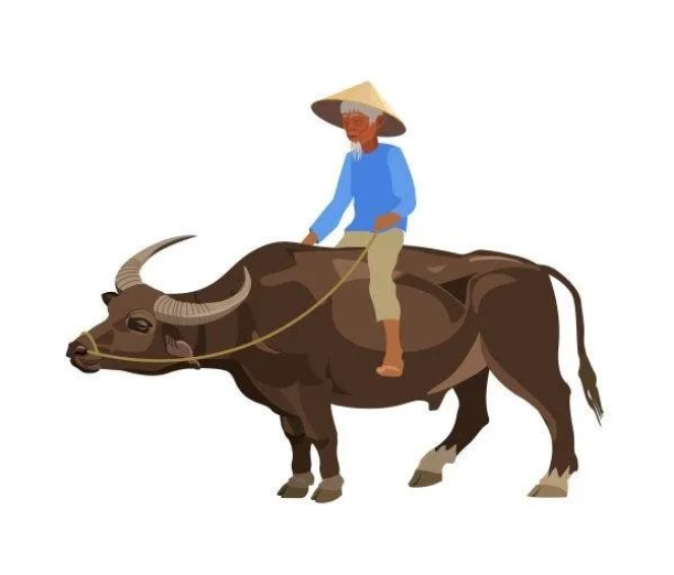 ��ţ���µĹ��º���˼