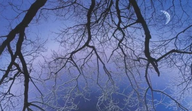 五月飞霜的典故、意思解释