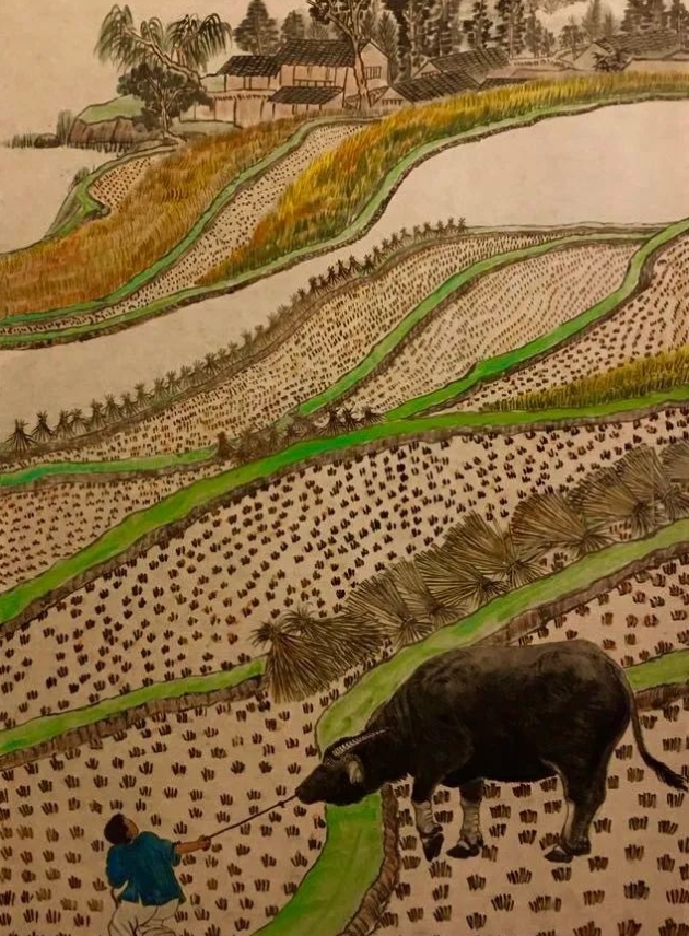 �����ţ�ĳ������