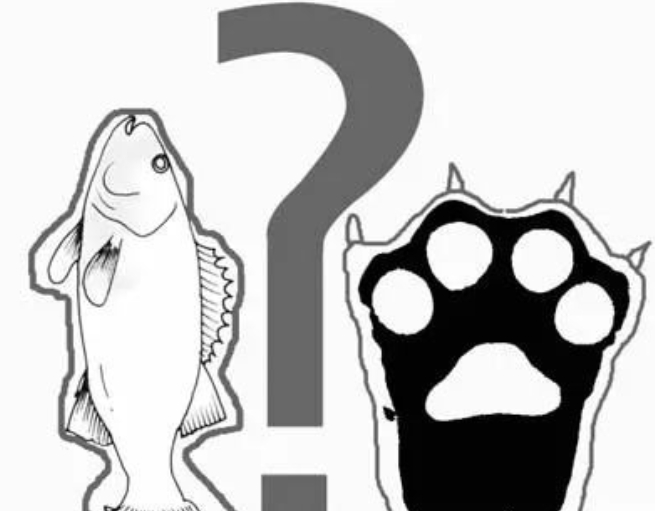 ��������ĳ�������˼����