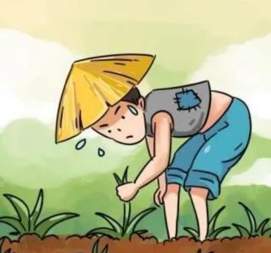 ����������Ԣ�Թ��µ���