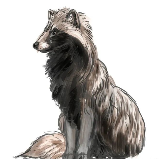 һ��֮�ѵĳ�����¡���˼