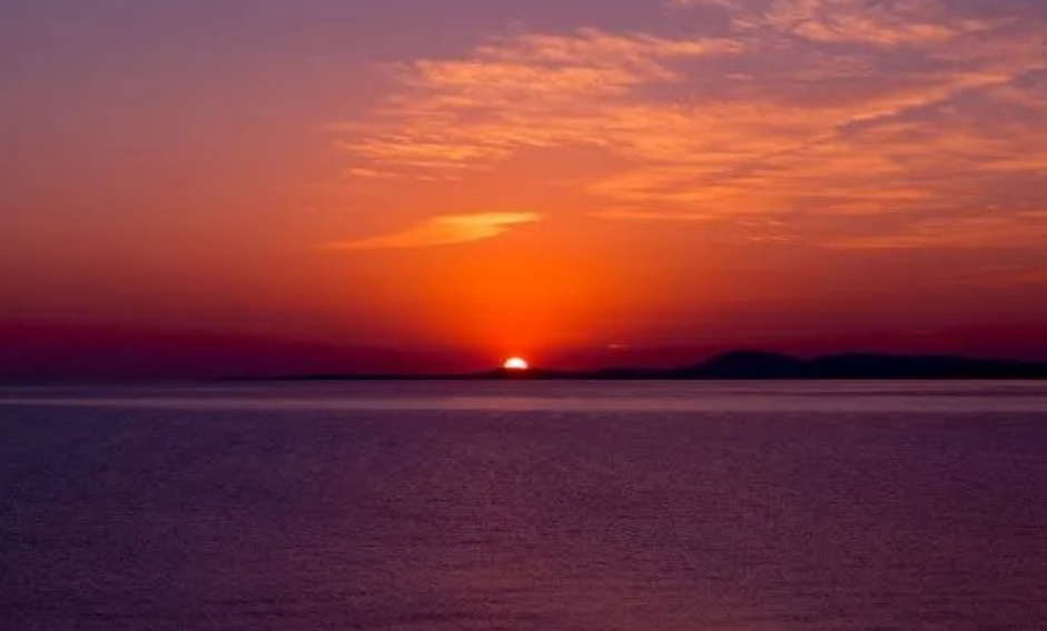 亦步亦趋的成语故事、意思