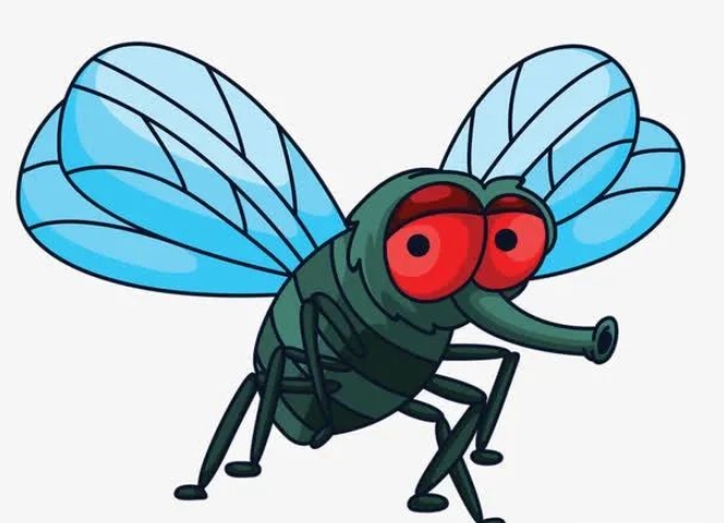 ӬӪ�����ĳ�����¡���˼