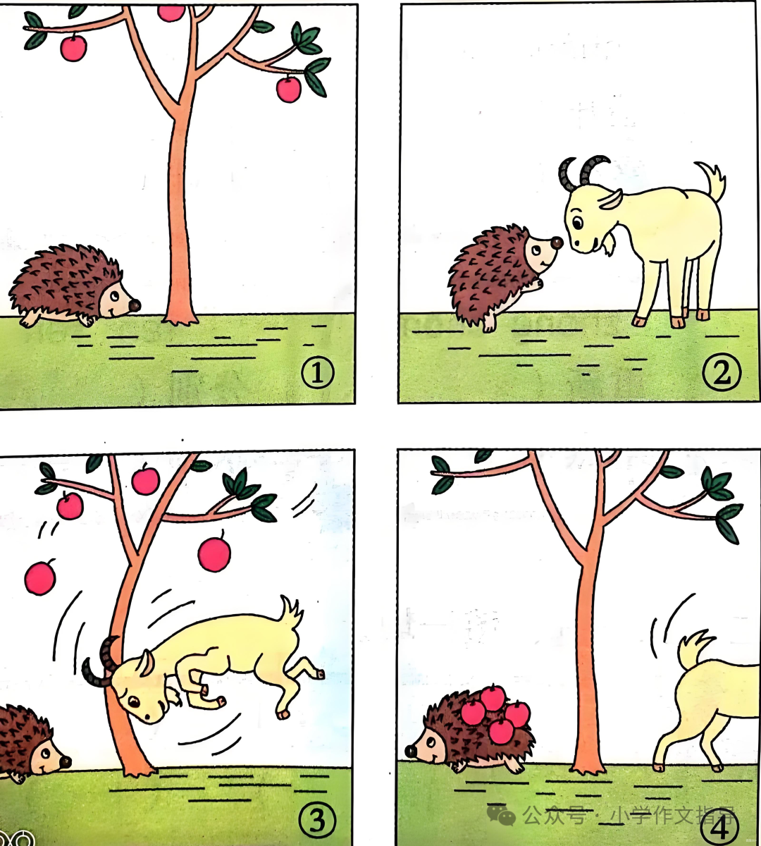 ��ͼд������С���ժƻ��